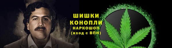 гашик Балахна