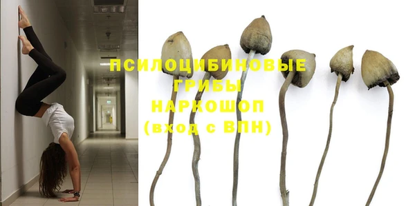 молекула духа Армянск
