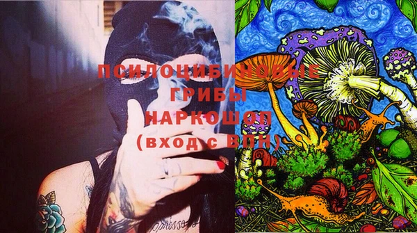 прущие крисы Аркадак
