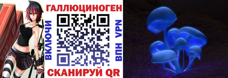 кракен вход  Пролетарск  Псилоцибиновые грибы прущие грибы 