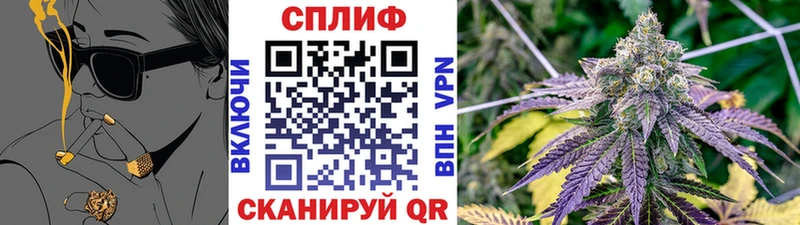 купить цена Пролетарск Бошки Шишки марихуана